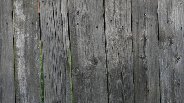 Struttura ad albero, recinzione in legno, sfondo in legno — Foto Stock