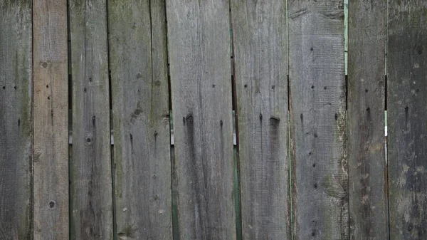 ağaç yapısı, ahşap çit, ahşap arka plan