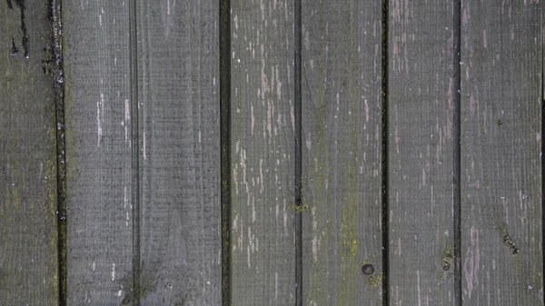 Wooden fence, colorful tree texture, color tree in the snow