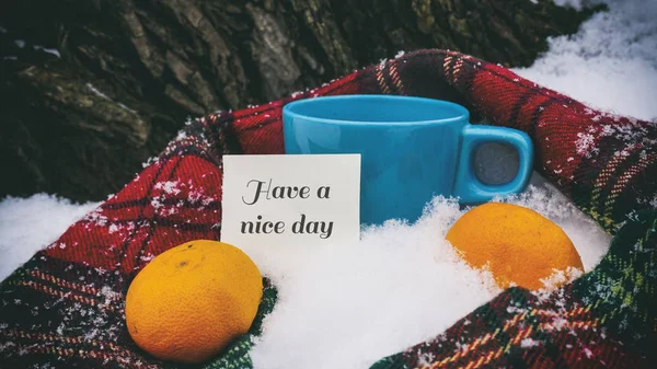 Taza de té, bufanda roja y mandarinas, palabras sobre papel —  Fotos de Stock
