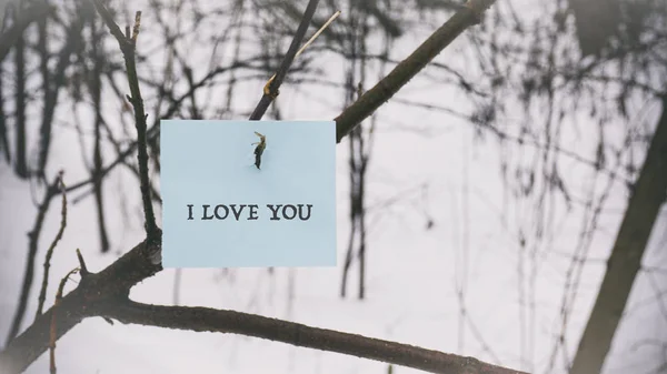 Paper sticker on a branch, a word on a paper sticker — Stock Photo, Image
