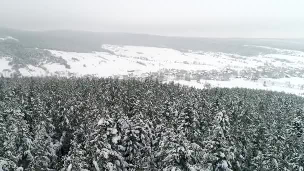 Montañas en invierno — Vídeo de stock