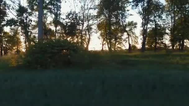 Un vol sur la route une balade en moto 