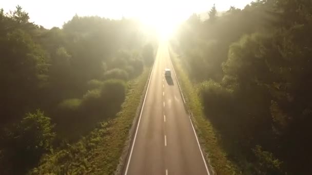 Vlucht over de weg bij zonsopgang. — Stockvideo