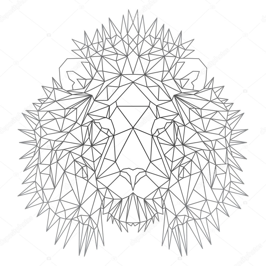 Beautiful geometric lion — Stock Vector © Frolique #125323338