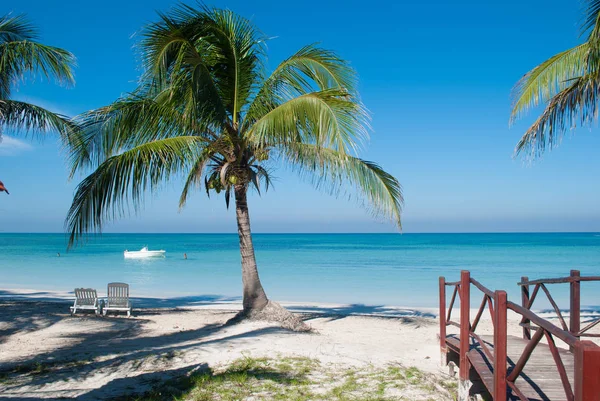 Küba'da Cayo Jutias plaj üzerinde palmiye. Tekne ve mavi deniz var