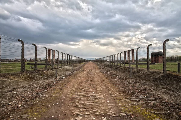奥斯威辛 毕科诺 2017年4月18日 大屠杀纪念博物馆 有刺的铁丝网和法国在营地周围 集中营的侧入口 驱逐囚犯死亡之路 — 图库照片