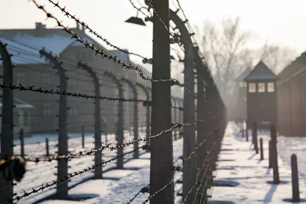 Auschwitz'de nöbet tutacak. Müze Auschwitz - Birkenau, Holokost Müzesi. Yıldönümü toplama kampı kurtuluş. Dikenli telle bir toplama kampı. 