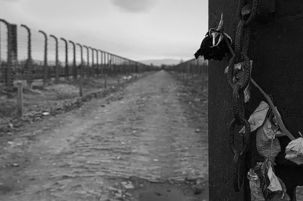 Auschwitz Birkenau Polsko Dubna 2017 Muzeum Auschwitz Birkenau Muzeum Památník — Stock fotografie