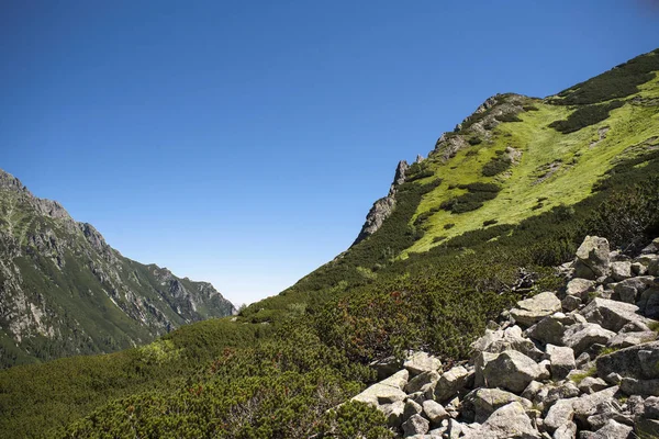 Vista Del Valle Cinco Estanques Montañas Tatra Camino Ojo Del —  Fotos de Stock