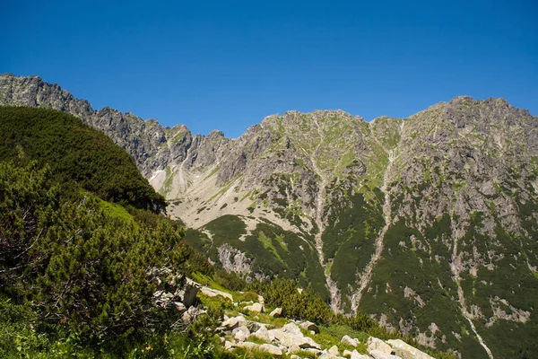 从顶部查看。小径到五池塘的山谷。Tatra 山在扎科帕内. — 图库照片