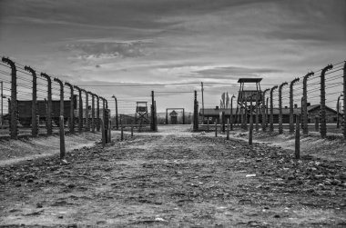 Auschwitz, Polonya: Oswiecim, Auschwitz-Birkenau, Polonya; Burada mahkumlar trenden yer. Barak Kanada. Auschwitz'de nöbet tutacak. Holokost Müzesi. Dikenli tel bir toplama kampı içinde.