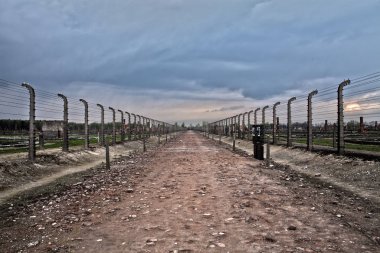 Auschwitz, Polonya: Birkenau'daki nöbet tutacak. Müze Auschwitz - Birkenau, Holokost Müzesi. Dikenli telle bir toplama kampı. 