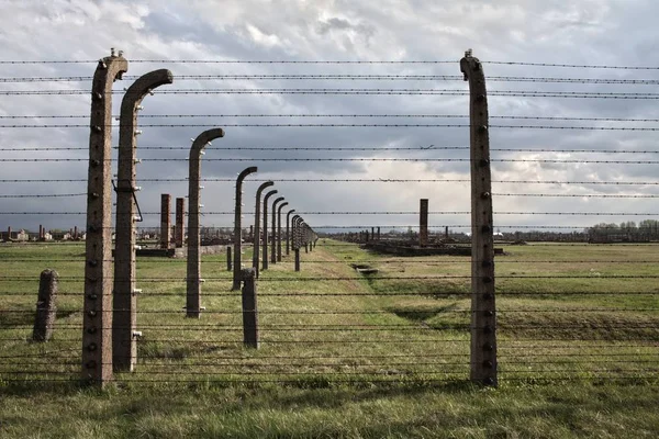 Auschwitz, Polonya: Müzesi Auschwitz - Birkenau. Holokost Müzesi. Dikenli tel ve fance bir toplama kampı çevresinde