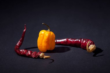 Red Hot Chili biber ve cehennem acı biber Habanero sarı siyah bir arka plan. Kurutulmuş sebze. Asya özel.