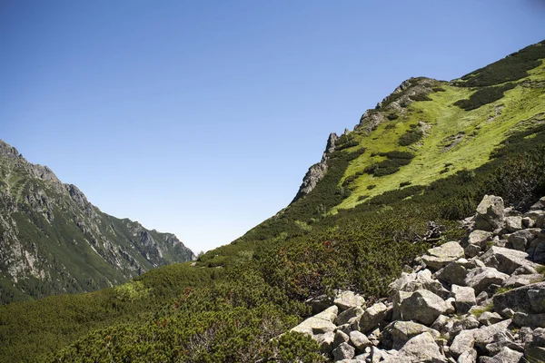 Polska Berg Dalen Fem Sjöar Nationalpark Zakopane — Stockfoto