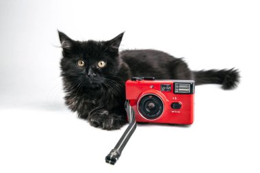 Kırmızı eski analog kamera ve beyaz zemin üzerine siyah kedi. Fotoğraf makinesi kısa bir kayış ile. Kameranın yanında oturan kedi.