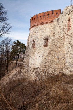 Kale Tenczyn. Rudno, Polonya eski Ortaçağ kale kalıntıları. İnşaat tarzı Kalesi kartal yuva karakteristik türü.