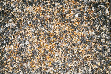 Kuş gıda, dağınık kuş yemi.