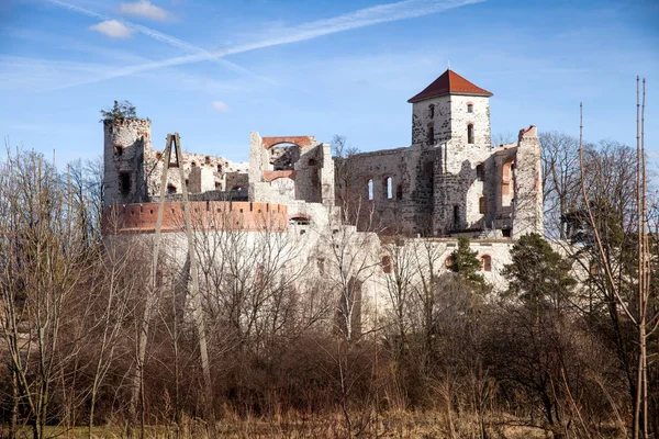 Castle Tenczyn Ruiner Gamla Medeltida Slott Rudno Polen Karakteristiska Typ — Stockfoto