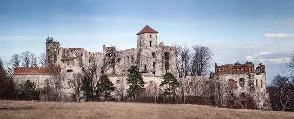 Castle Tenczyn Ruiner Gamla Medeltida Slott Rudno Polen Karakteristiska Typ — Stockfoto