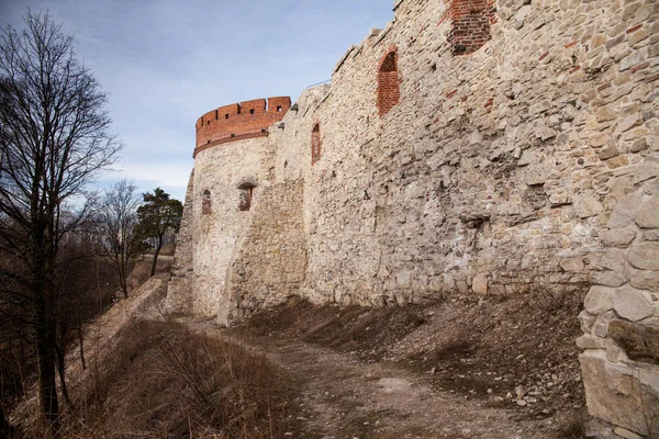 Kasteel Tenczyn Ruïnes Van Oude Middeleeuwse Kasteel Rudno Polen Karakteristieke — Stockfoto