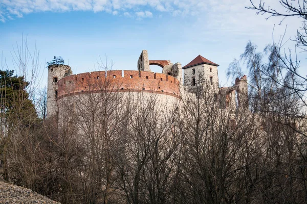 Castle Tenczyn Ruiner Gamla Medeltida Slott Rudno Polen Karakteristiska Typ — Stockfoto