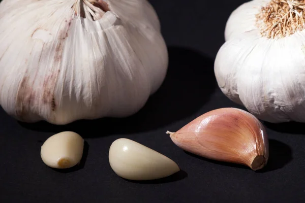 Garlic on black background. Garlic head and cloves.