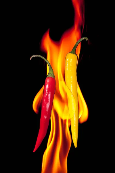 Chili Röd Och Gul Isolerad Ren Svart Bakgrund — Stockfoto