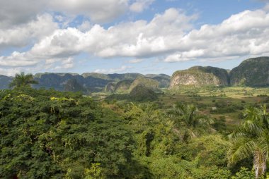 Köy dağlarda Vinales Vadisi Küba'nın eteklerinde. Çiftçi kulübe ve tarıma elverişli alanlar. Yeşil palmiye ağaçları ve mogot dağ Vinales Vadisi.