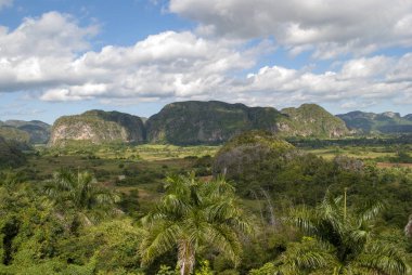 Köy dağlarda Vinales Vadisi Küba'nın eteklerinde. Çiftçi kulübe ve tarıma elverişli alanlar. Yeşil palmiye ağaçları ve mogot dağ Vinales Vadisi.