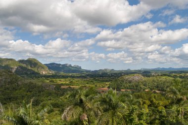 Köy dağlarda Vinales Vadisi Küba'nın eteklerinde. Çiftçi kulübe ve tarıma elverişli alanlar. Yeşil palmiye ağaçları ve mogot dağ Vinales Vadisi.