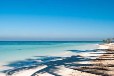 Gölge hurma Küba'da Cayo Jutias plaj üzerinde. Tekne ve mavi deniz altın kumsalda dinlenin. Meksika Körfezi'Beach.