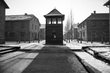 Auschwitz, Polonya - 28 Ocak 2017; Auschwitz'de nöbet tutacak. Müze Auschwitz - Birkenau, Holokost Müzesi. Yıldönümü toplama kampı kurtuluş. Dikenli telle bir toplama kampı. 