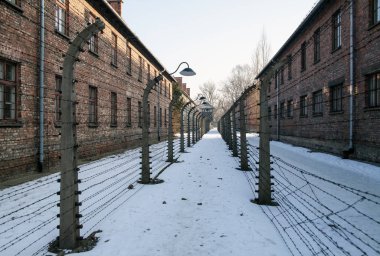 Auschwitz, Polonya - 28 Ocak 2017; Hapishane egzersiz avlusunda dikenli tel arasında. Müze Auschwitz - Birkenau, Holokost Anı Müzesi. Dikenli telle bir toplama kampı. 