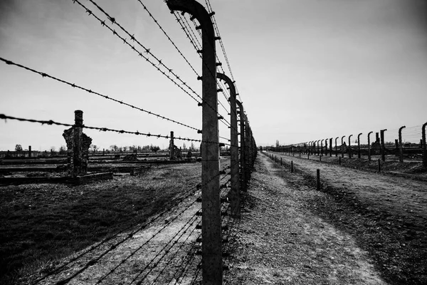 Auschwitz Polonya Mayıs 2018 Müze Auschwitz Birkenau Holokost Müzesi Dikenli — Stok fotoğraf