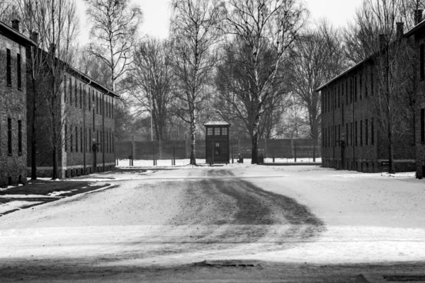 Auschwitz Polska Stycznia 2018 Muzeum Auschwitz Muzeum Holokaustu Drodze Między — Zdjęcie stockowe