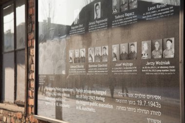 Darağacı parçası. Mahkumların fotoğrafları asılı için mahkum. Auschwitz Holokost Müzesi.