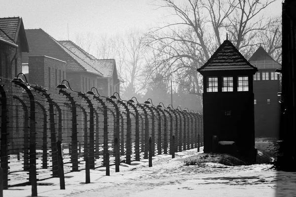 Auschwitz Polska Stycznia 2017 Rzucić Strażnik Auschwitz Muzeum Auschwitz Birkenau — Zdjęcie stockowe