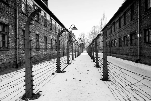 Auschwitz Polonya Ocak 2017 Holokost Müzesi Müzesi Yıldönümü Çit Dikenli — Stok fotoğraf