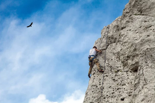 Adam dağın zirvesine tırmanıyor. Kayalar ve mavi gökyüzü. Gökyüzünde ve tırmanma duvarı kuş... Bir üst ulaşmak için. 