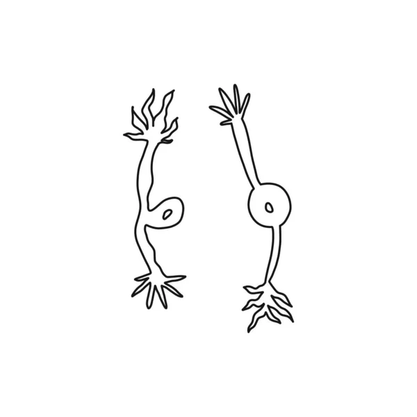 Folleto informativo sketch cell neuron art style . — Archivo Imágenes Vectoriales