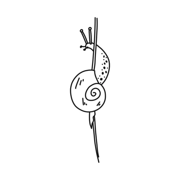 Bright flyer, snail creeping up, hand drawn sketch. — ストックベクタ