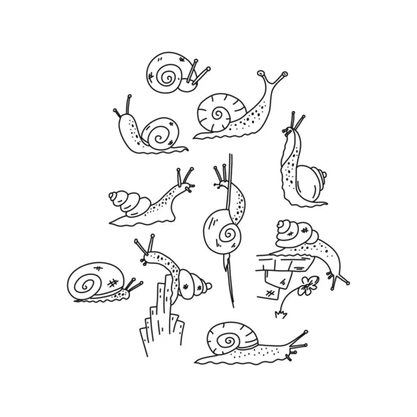 Information flyer sketch snail inquisitiveness. — ストックベクタ