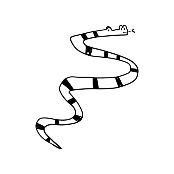 Informativní náčrt ručně kresleného zvířecího hada. — Stockový vektor