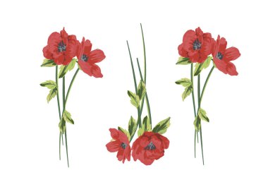 haşhaş çiçek şekil