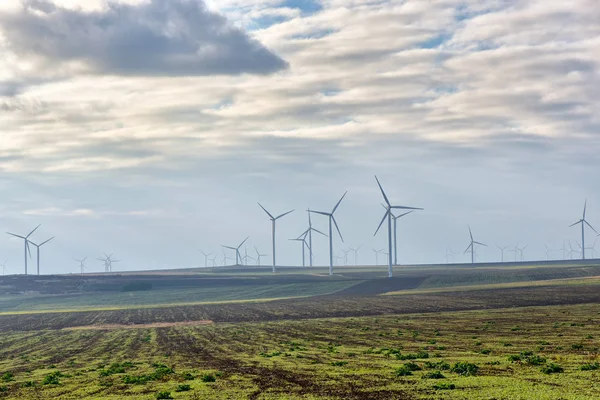 Eolian mező és a szél turbina farm felhős — Stock Fotó