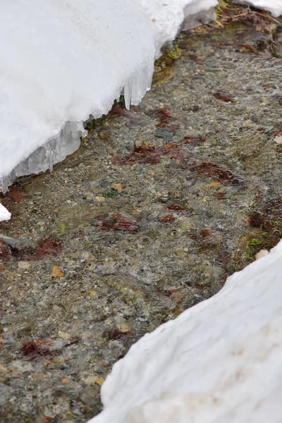 Горная река зимой, со снегом и льдом — стоковое фото