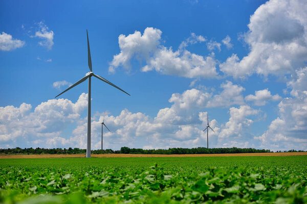 Eolian field and wind turbines farm on contryside in a sunny day