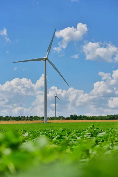 Eolian mező és a szél turbina farm contryside, egy napsütéses napon a — Stock Fotó